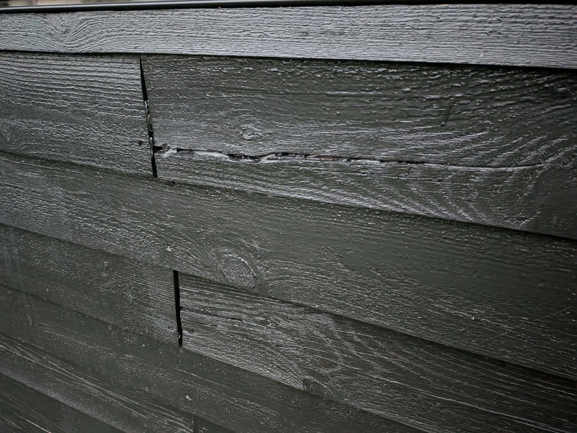 Sort træ på facade